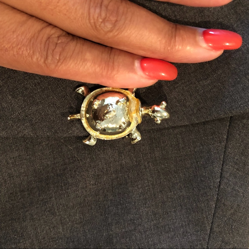 Turtle Pin